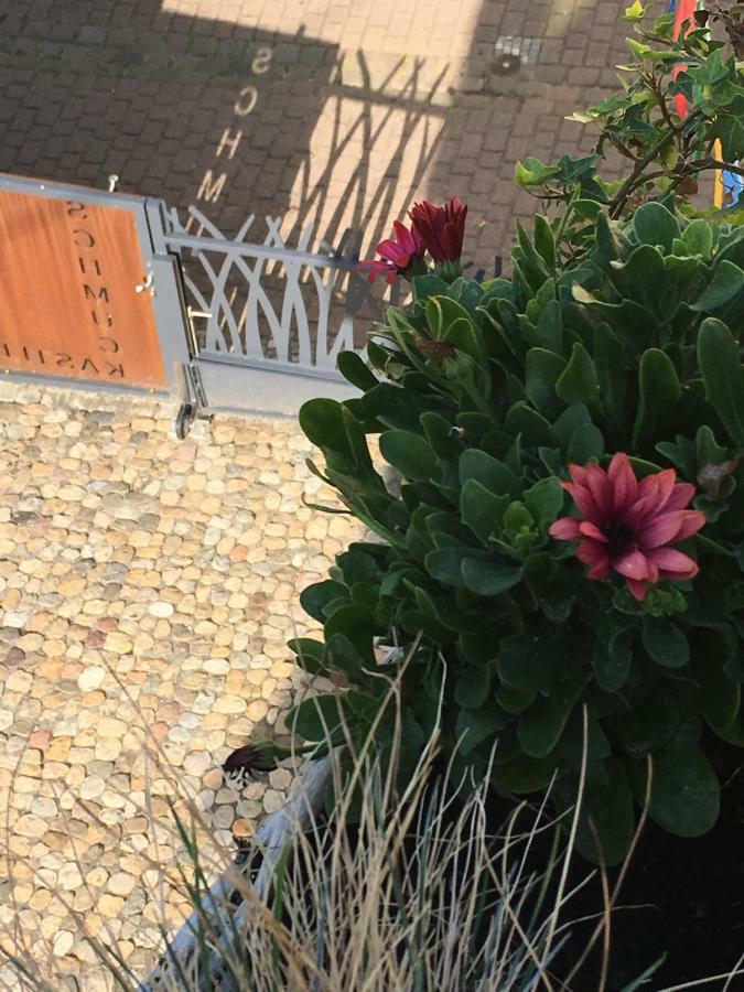 Schmuckkaestle Am Hafen Lägenhet Wiesbaden Exteriör bild