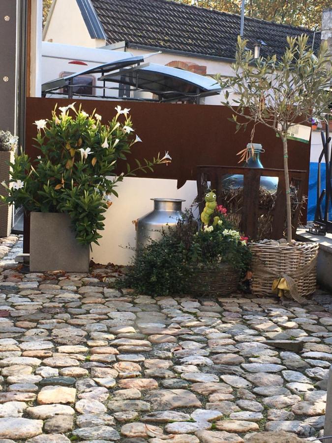 Schmuckkaestle Am Hafen Lägenhet Wiesbaden Exteriör bild